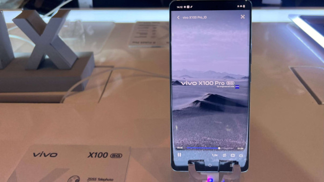vivo X100