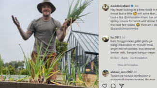 Pensiun Jadi Pemain Bola, David Beckham Sibuk Panen Daun Bawang