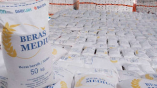 Direksi hingga Dewas Dirombak, Koordinasi Bulog Dengan Petani Dinilai Bakal Makin Kuat
