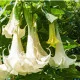 img_title