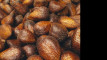 Photo Mini 1