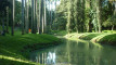Photo Mini 6