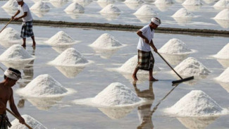 Lindungi Industri Dalam Negeri, Pemerintah Diminta Wajibkan Importir Garam Serap Produksi Lokal