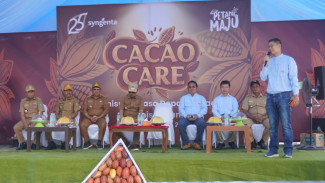 Cacao Care di Kolaka Utara Dukung Produksi Kakao Berkelanjutan dan Pembangunan Pedesaan
