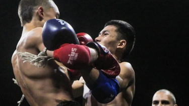 Triumph Fight