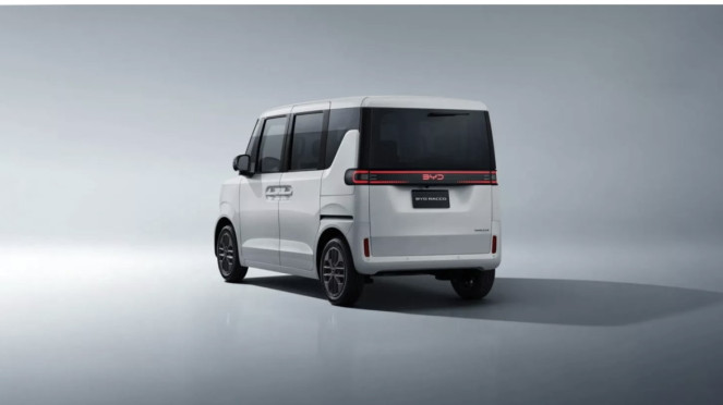 BYD Racoo