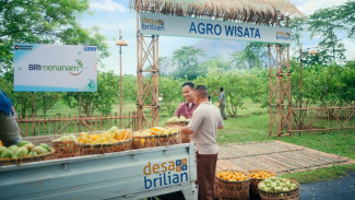 Wujudkan Semangat Asta Cita untuk Pemerataan Ekonomi, BRI Berdayakan 4.909 Desa BRILiaN