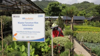 Holding Ultra Mikro BRI Salurkan Pembiayaan Rp 632 Triliun ke 34,5 Juta Debitur, Perkuat Ekonomi Rakyat